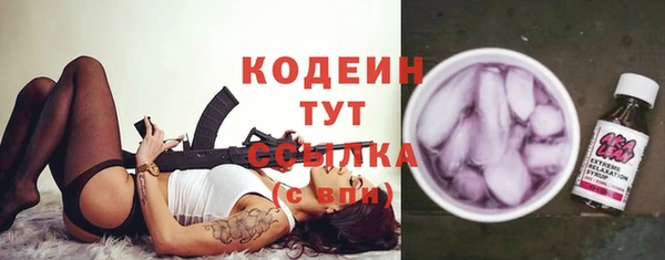 крисы Кулебаки