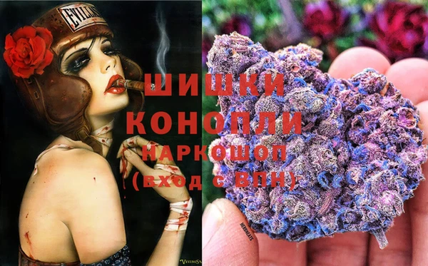 шишки Алзамай