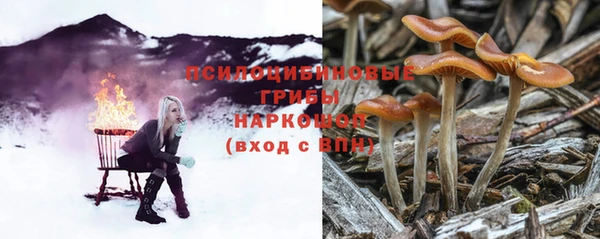 эйфоретик Алексеевка