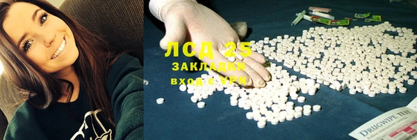 шишки Алзамай