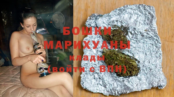 шишки Алзамай