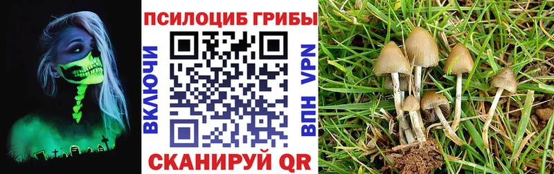 Купить  Якутск  Галлюциногенные грибы GOLDEN TEACHER 